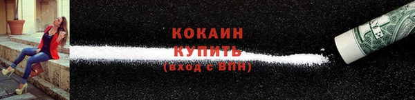 шишки Абаза