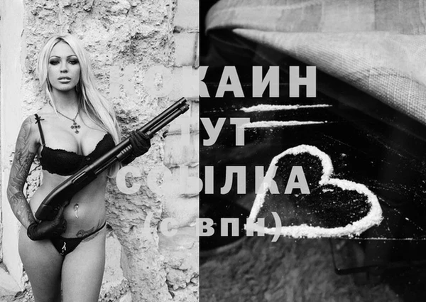 шишки Абаза