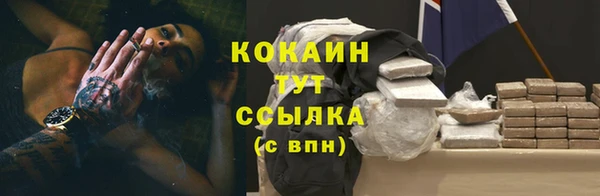шишки Абаза