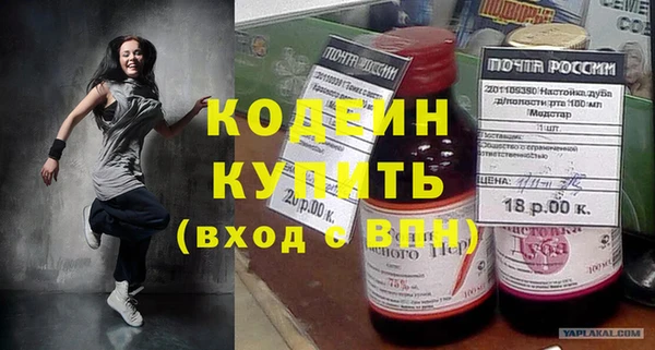 шишки Абаза