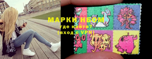 ECSTASY Алзамай