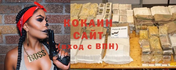 шишки Абаза
