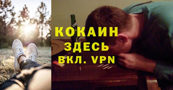 ECSTASY Алзамай