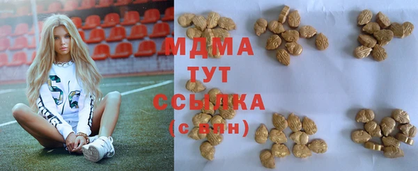 шишки Абаза