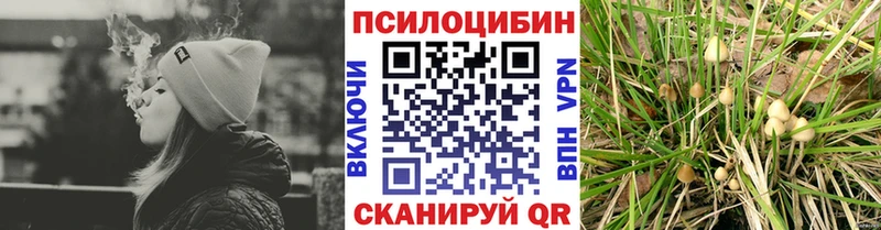 Галлюциногенные грибы прущие грибы  Новочебоксарск 